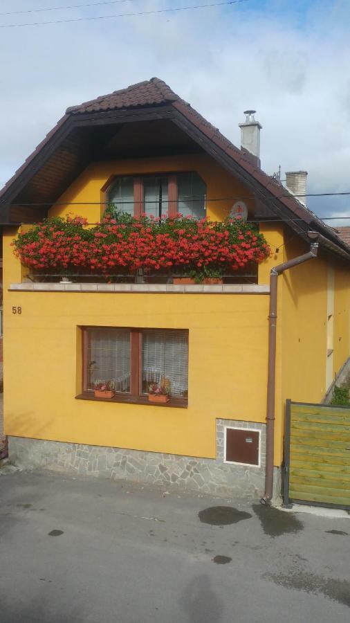Privat U Zdenky Hotel Tvrdosin Bagian luar foto